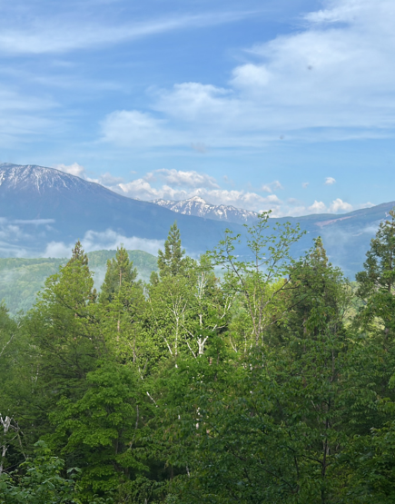 Beautiful Moments You will Never Forget