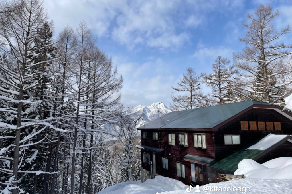 Beautiful Moments You will Never Forget